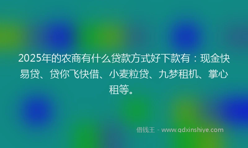 2025年的农商有什么贷款方式好下款有：现金快易贷、贷你飞快借、小麦粒贷、九梦租机、掌心租等。