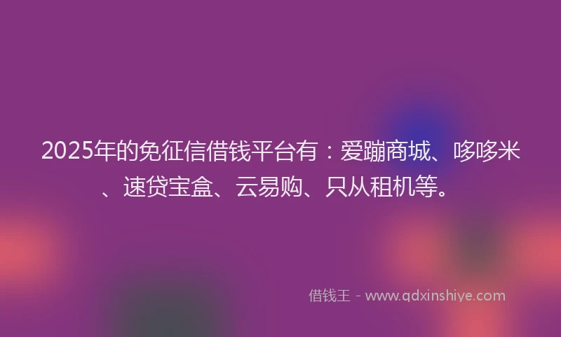 2025年的免征信借钱平台有：爱蹦商城、哆哆米、速贷宝盒、云易购、只从租机等。