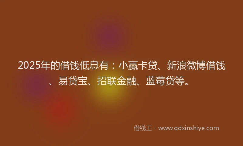 2025年的借钱低息有：小赢卡贷、新浪微博借钱、易贷宝、招联金融、蓝莓贷等。