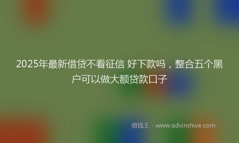 2025年最新借贷不看征信 好下款吗，整合五个黑户可以做大额贷款口子