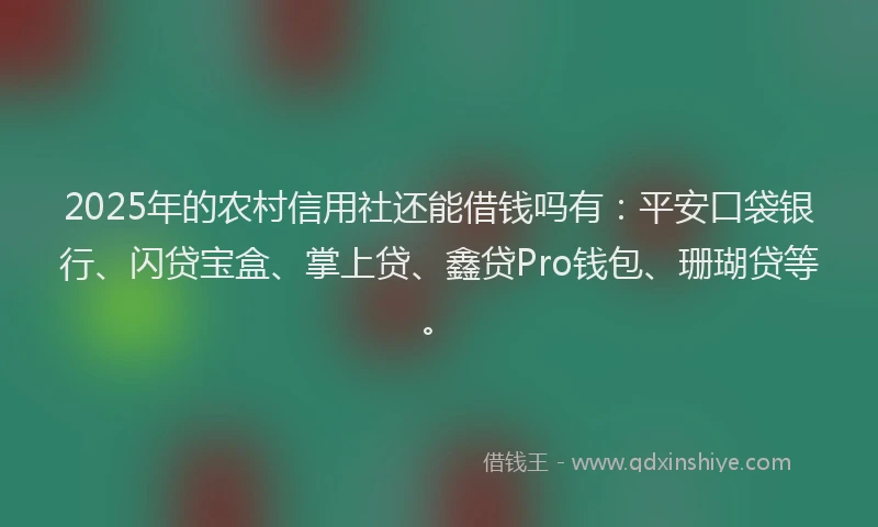 2025年的农村信用社还能借钱吗有：平安口袋银行、闪贷宝盒、掌上贷、鑫贷Pro钱包、珊瑚贷等。