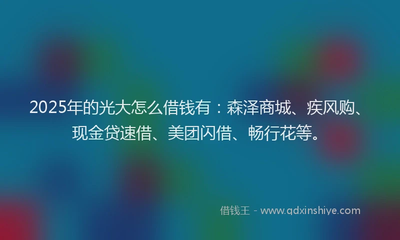 2025年的光大怎么借钱有：森泽商城、疾风购、现金贷速借、美团闪借、畅行花等。