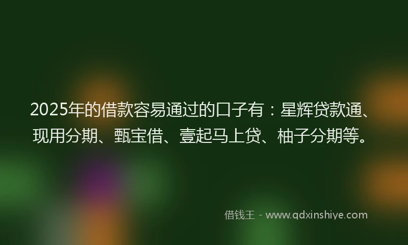 2025年的借款容易通过的口子有：星辉贷款通、现用分期、甄宝借、壹起马上贷、柚子分期等。