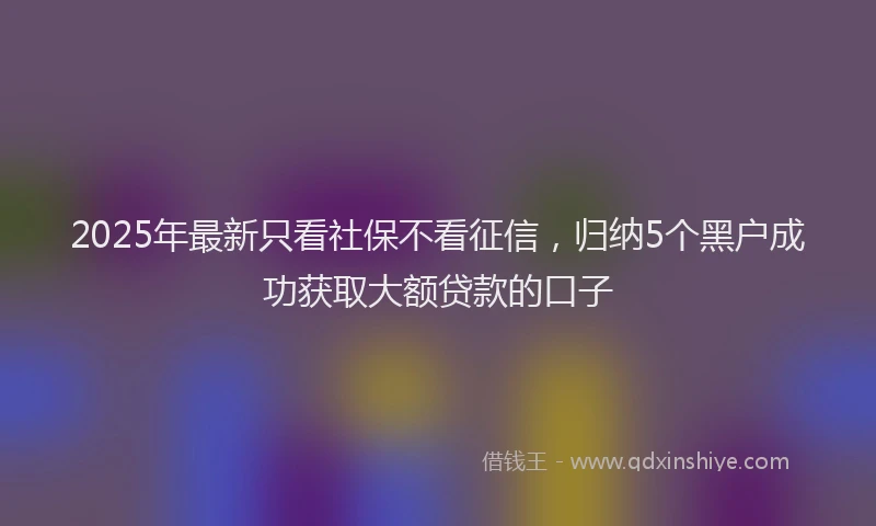 2025年最新只看社保不看征信，归纳5个黑户成功获取大额贷款的口子