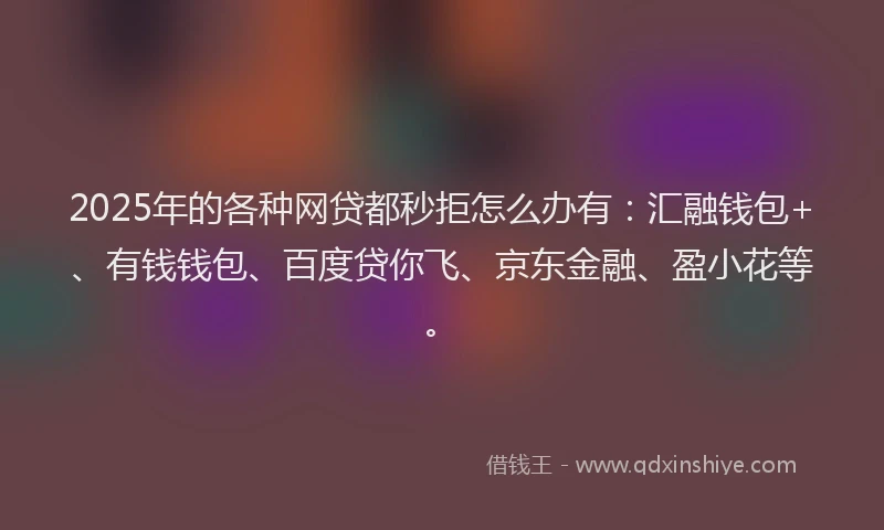 2025年的各种网贷都秒拒怎么办有：汇融钱包+、有钱钱包、百度贷你飞、京东金融、盈小花等。