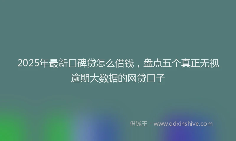 2025年最新口碑贷怎么借钱，盘点五个真正无视逾期大数据的网贷口子