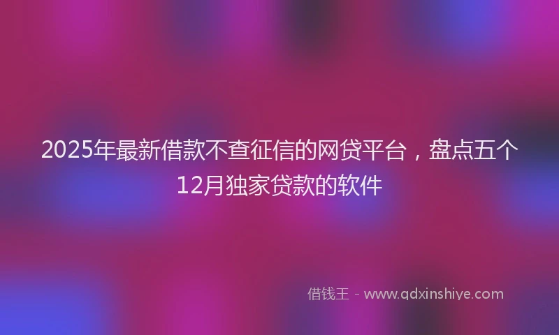 2025年最新借款不查征信的网贷平台，盘点五个12月独家贷款的软件