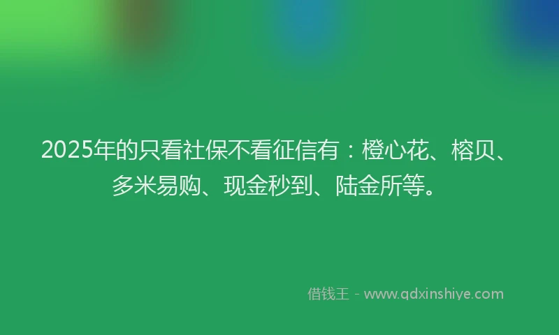 2025年的只看社保不看征信有：橙心花、榕贝、多米易购、现金秒到、陆金所等。