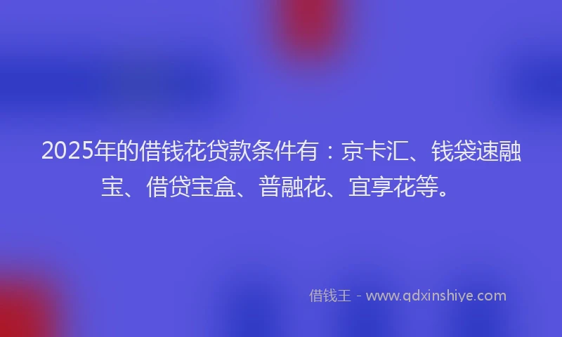 2025年的借钱花贷款条件有：京卡汇、钱袋速融宝、借贷宝盒、普融花、宜享花等。
