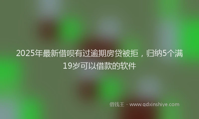 2025年最新借呗有过逾期房贷被拒，归纳5个满19岁可以借款的软件