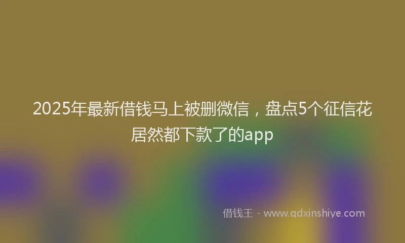 2025年最新借钱马上被删微信，盘点5个征信花居然都下款了的app