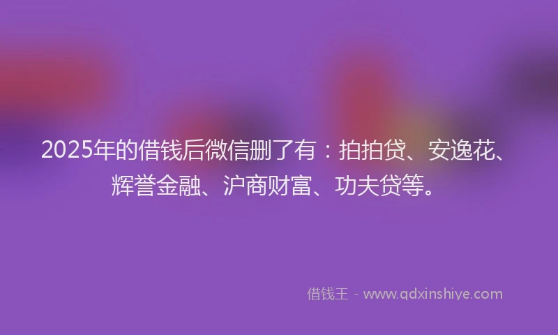 2025年的借钱后微信删了有：拍拍贷、安逸花、辉誉金融、沪商财富、功夫贷等。