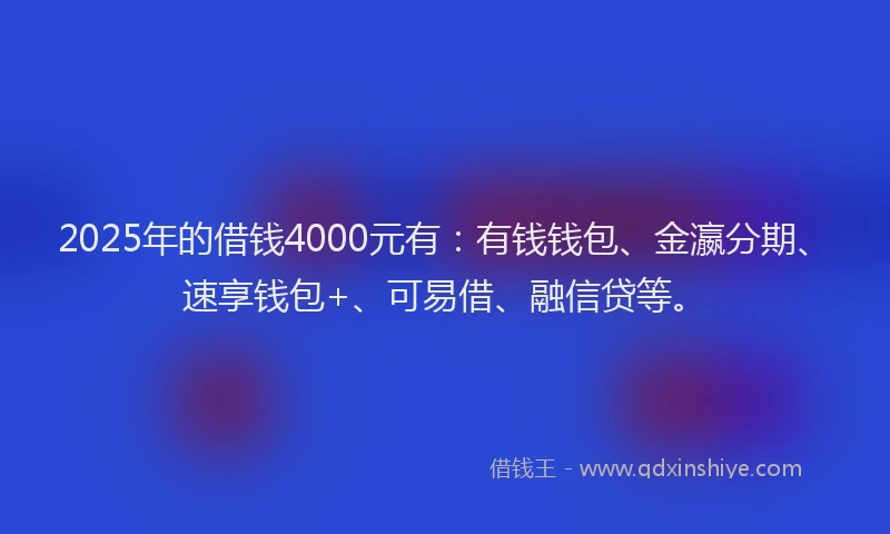 2025年的借钱4000元有：有钱钱包、金瀛分期、速享钱包+、可易借、融信贷等。