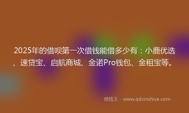 2025年的借呗第一次借钱能借多少有：小鹿优选、速贷宝、启航商城、金诺Pro钱包、金租宝等。