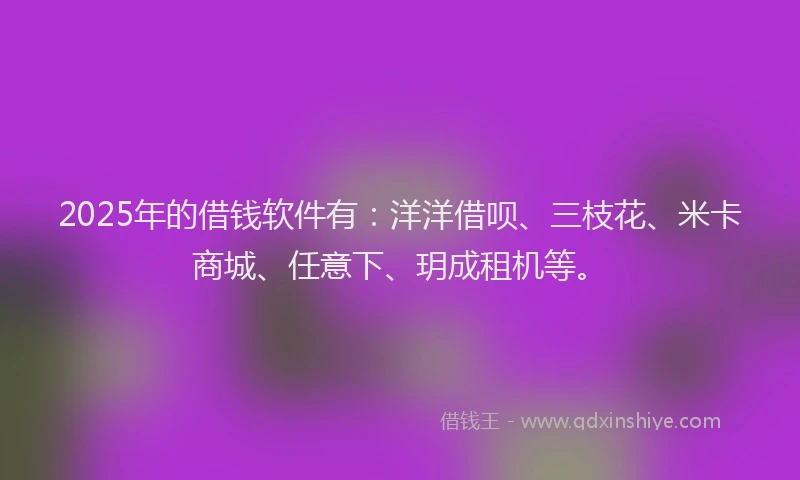 2025年的借钱软件有：洋洋借呗、三枝花、米卡商城、任意下、玥成租机等。