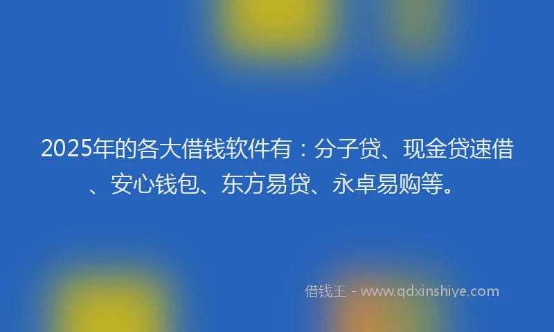 2025年的各大借钱软件有：分子贷、现金贷速借、安心钱包、东方易贷、永卓易购等。
