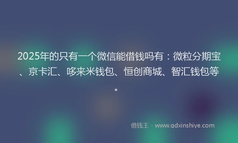 2025年的只有一个微信能借钱吗有：微粒分期宝、京卡汇、哆来米钱包、恒创商城、智汇钱包等。