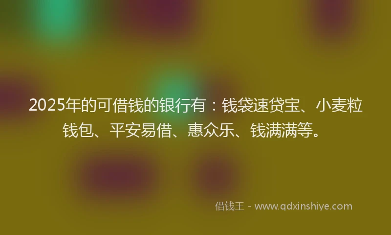 2025年的可借钱的银行有：钱袋速贷宝、小麦粒钱包、平安易借、惠众乐、钱满满等。