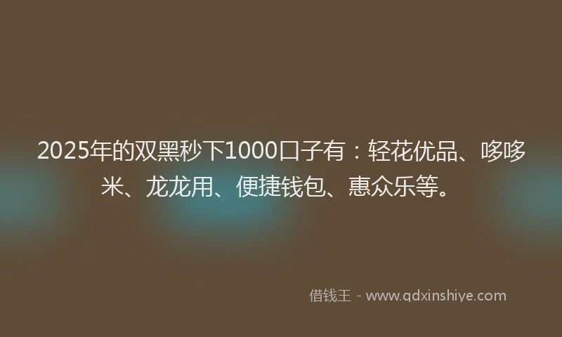 2025年的双黑秒下1000口子有：轻花优品、哆哆米、龙龙用、便捷钱包、惠众乐等。