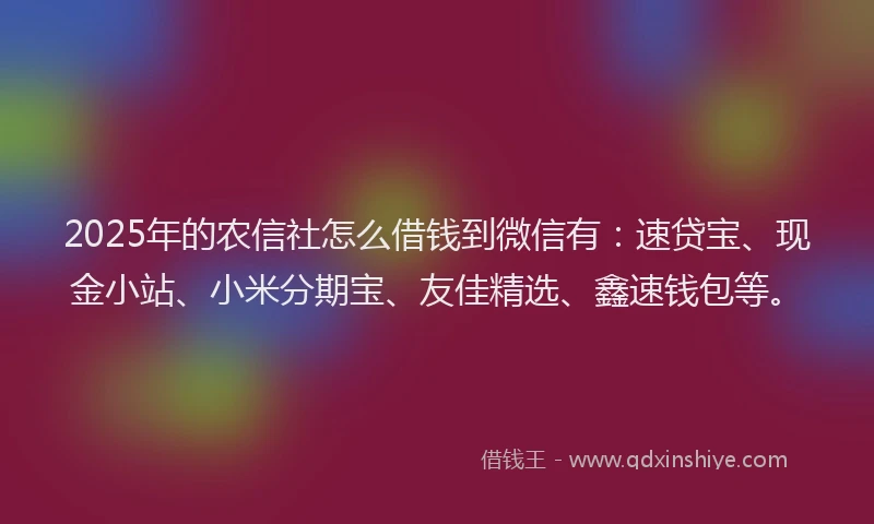 2025年的农信社怎么借钱到微信有：速贷宝、现金小站、小米分期宝、友佳精选、鑫速钱包等。