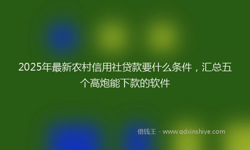 2025年最新农村信用社贷款要什么条件，汇总五个高炮能下款的软件