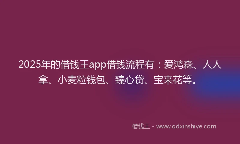 2025年的借钱王app借钱流程有：爱鸿森、人人拿、小麦粒钱包、臻心贷、宝来花等。