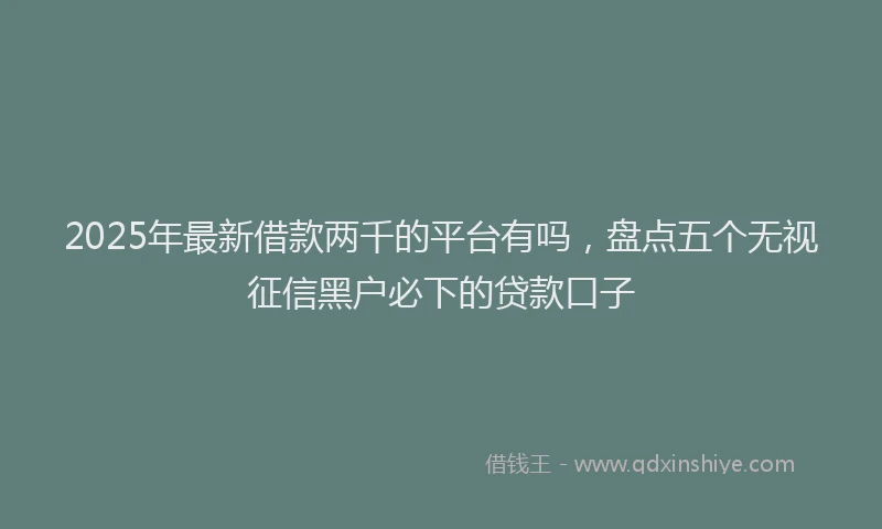 2025年最新借款两千的平台有吗，盘点五个无视征信黑户必下的贷款口子