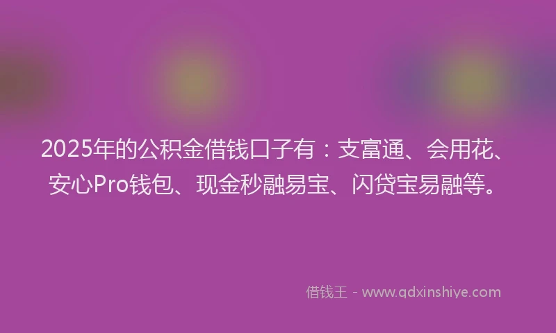 2025年的公积金借钱口子有：支富通、会用花、安心Pro钱包、现金秒融易宝、闪贷宝易融等。