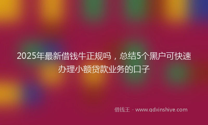 2025年最新借钱牛正规吗，总结5个黑户可快速办理小额贷款业务的口子