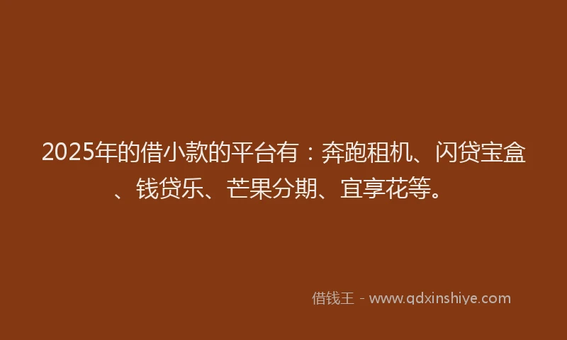 2025年的借小款的平台有：奔跑租机、闪贷宝盒、钱贷乐、芒果分期、宜享花等。