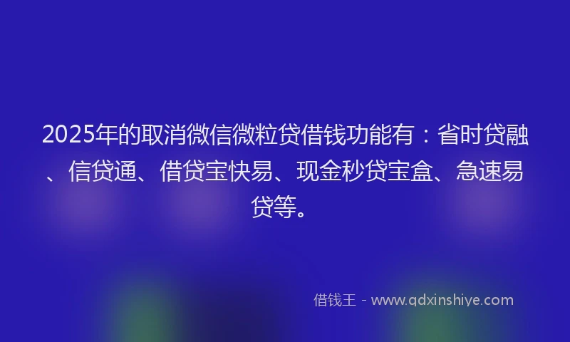 2025年的取消微信微粒贷借钱功能有：省时贷融、信贷通、借贷宝快易、现金秒贷宝盒、急速易贷等。
