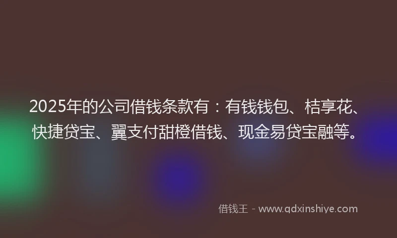 2025年的公司借钱条款有：有钱钱包、桔享花、快捷贷宝、翼支付甜橙借钱、现金易贷宝融等。