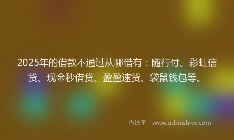 2025年的借款不通过从哪借有：随行付、彩虹信贷、现金秒借贷、盈盈速贷、袋鼠钱包等。