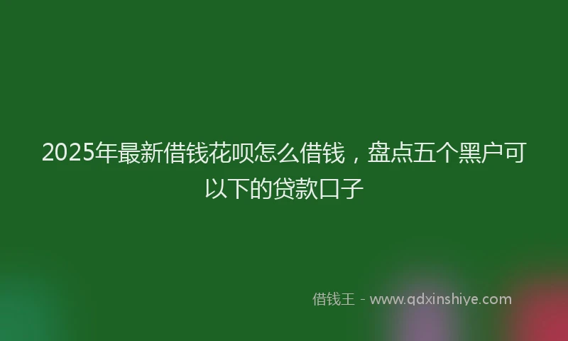 2025年最新借钱花呗怎么借钱，盘点五个黑户可以下的贷款口子