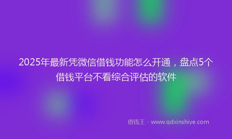 2025年最新凭微信借钱功能怎么开通，盘点5个借钱平台不看综合评估的软件