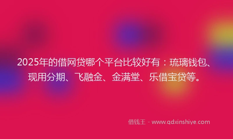 2025年的借网贷哪个平台比较好有：琉璃钱包、现用分期、飞融金、金满堂、乐借宝贷等。
