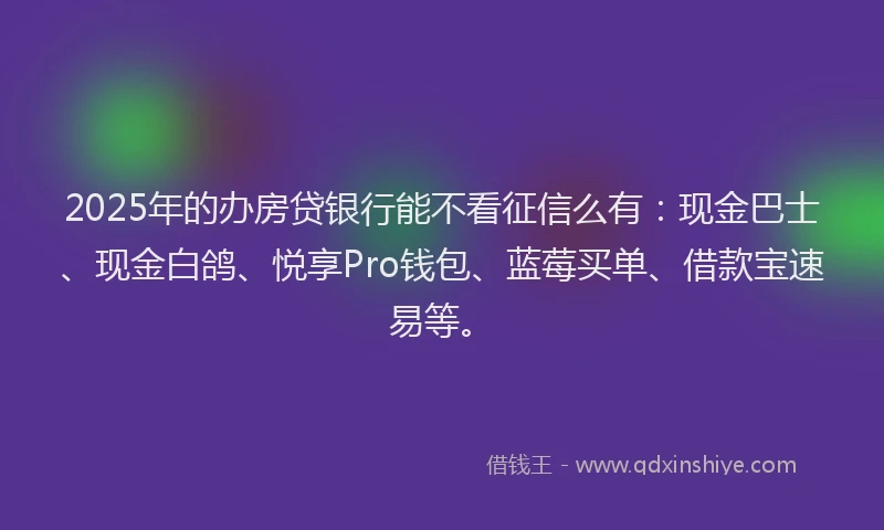 2025年的办房贷银行能不看征信么有：现金巴士、现金白鸽、悦享Pro钱包、蓝莓买单、借款宝速易等。