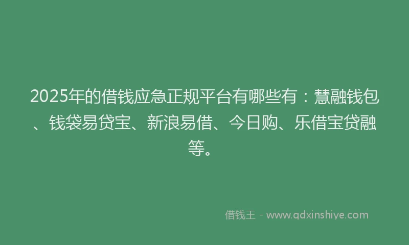 2025年的借钱应急正规平台有哪些有：慧融钱包、钱袋易贷宝、新浪易借、今日购、乐借宝贷融等。
