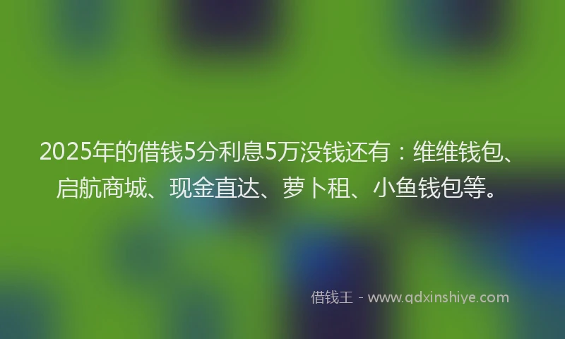 2025年的借钱5分利息5万没钱还有：维维钱包、启航商城、现金直达、萝卜租、小鱼钱包等。