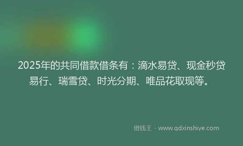 2025年的共同借款借条有：滴水易贷、现金秒贷易行、瑞雪贷、时光分期、唯品花取现等。