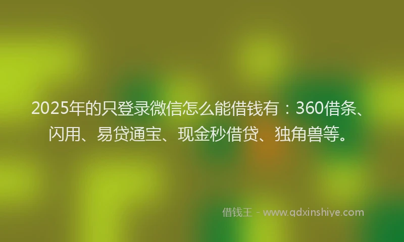 2025年的只登录微信怎么能借钱有：360借条、闪用、易贷通宝、现金秒借贷、独角兽等。