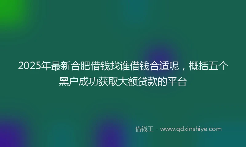 2025年最新合肥借钱找谁借钱合适呢，概括五个黑户成功获取大额贷款的平台
