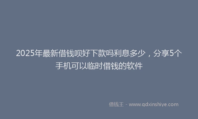 2025年最新借钱呗好下款吗利息多少，分享5个手机可以临时借钱的软件