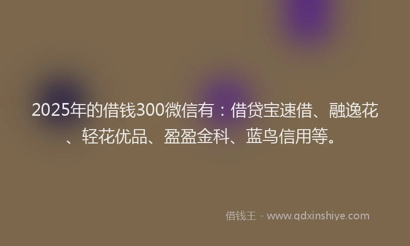 2025年的借钱300微信有：借贷宝速借、融逸花、轻花优品、盈盈金科、蓝鸟信用等。