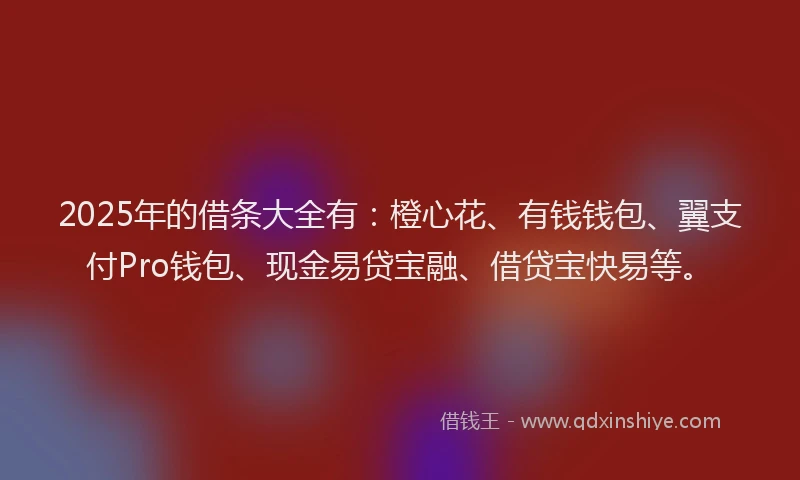 2025年的借条大全有：橙心花、有钱钱包、翼支付Pro钱包、现金易贷宝融、借贷宝快易等。