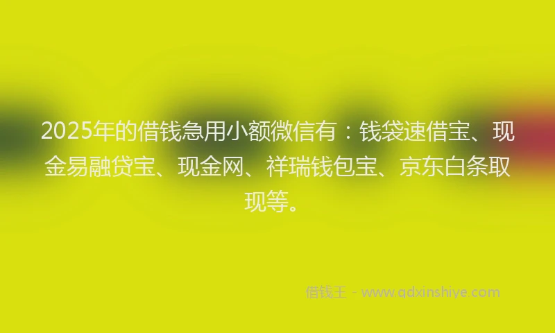 2025年的借钱急用小额微信有：钱袋速借宝、现金易融贷宝、现金网、祥瑞钱包宝、京东白条取现等。