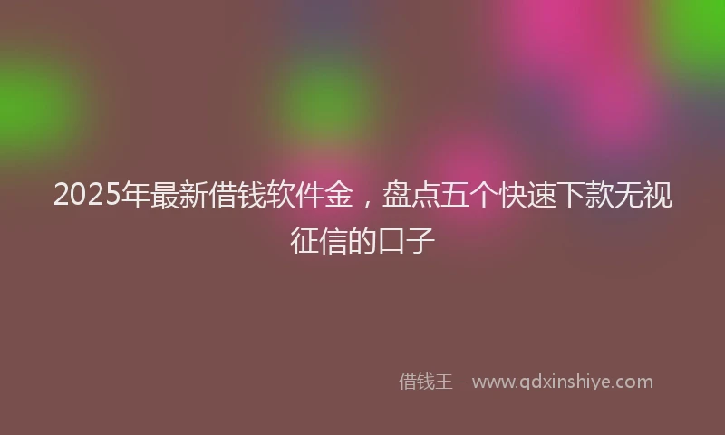 2025年最新借钱软件金，盘点五个快速下款无视征信的口子