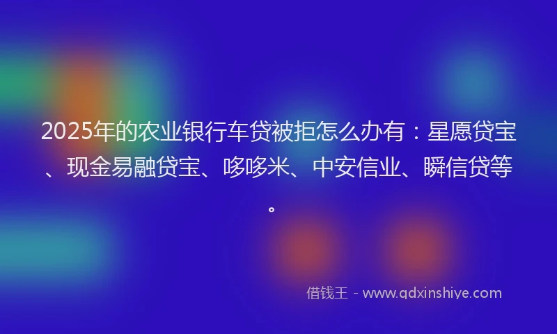 2025年的农业银行车贷被拒怎么办有：星愿贷宝、现金易融贷宝、哆哆米、中安信业、瞬信贷等。