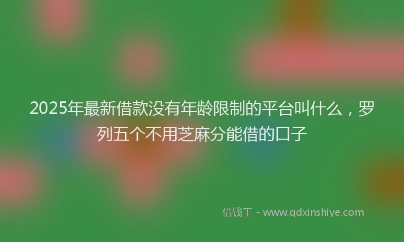 2025年最新借款没有年龄限制的平台叫什么，罗列五个不用芝麻分能借的口子