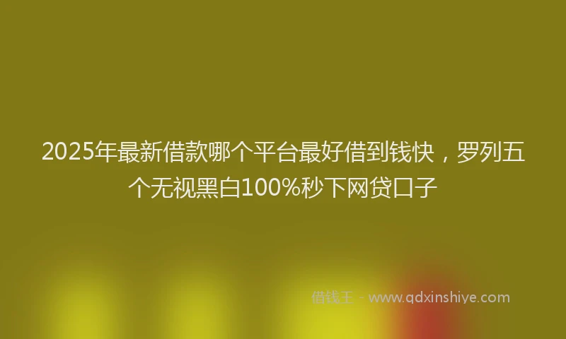 2025年最新借款哪个平台最好借到钱快，罗列五个无视黑白100%秒下网贷口子